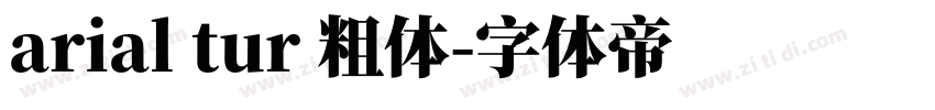 arial tur 粗体字体转换